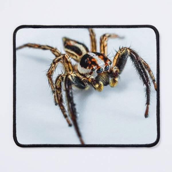 Item preview, Along Comes a Spider designed and sold by davidbjones254.