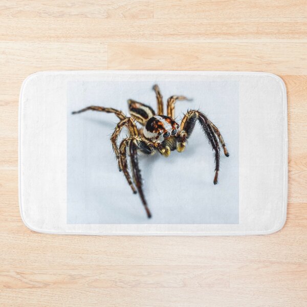 Item preview, Along Comes a Spider designed and sold by davidbjones254.
