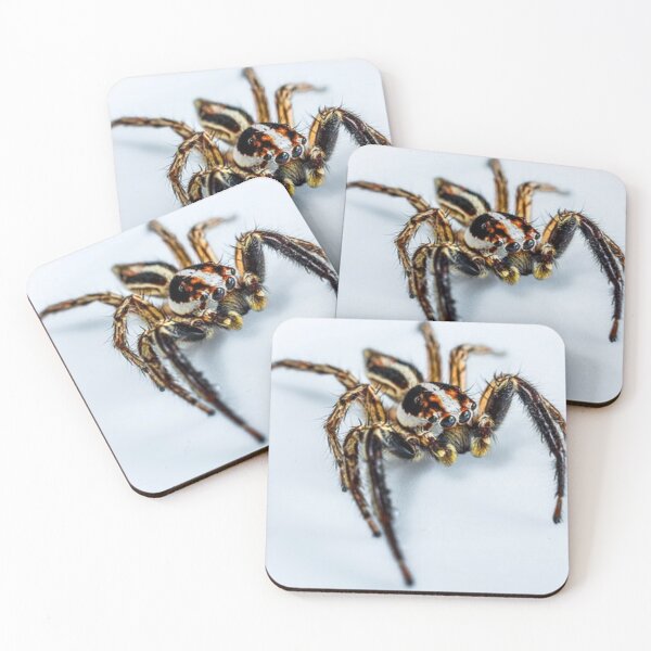 Item preview, Along Comes a Spider designed and sold by davidbjones254.