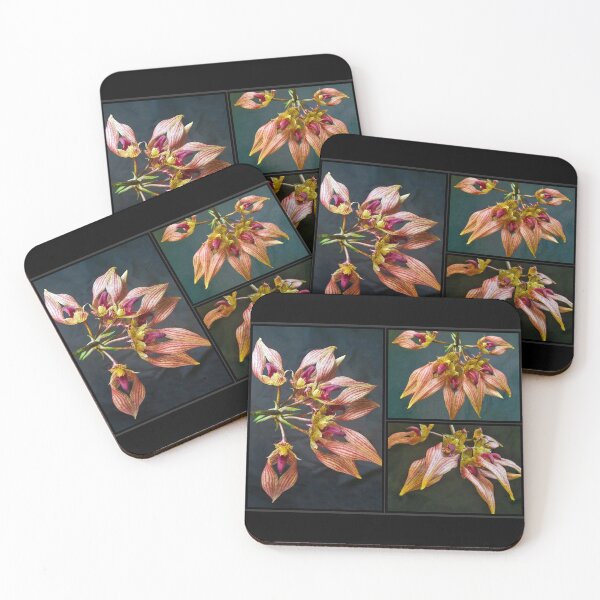 Item preview, Bulbophyllum Orchid A-Dorabil Candy Ann Collage designed and sold by Susan Maxwell Schmidt.