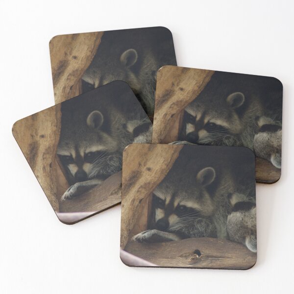 Item preview, Cuddly Coons designed and sold by froggybangbang.