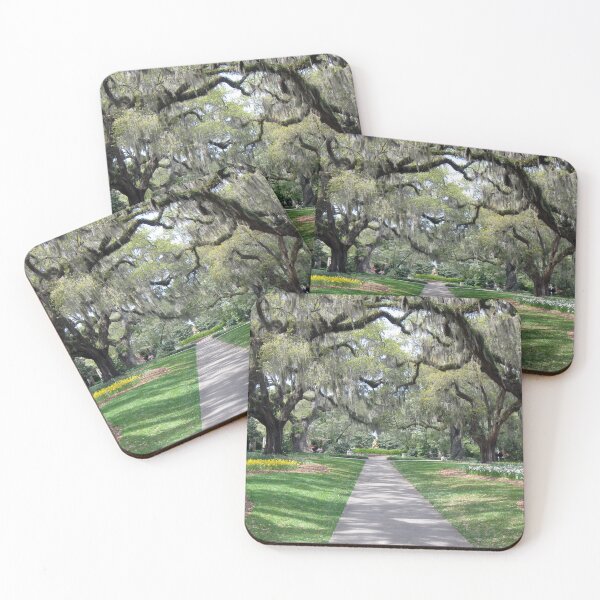 Item preview, Daffodils and Oaks designed and sold by MADowdPhotos.