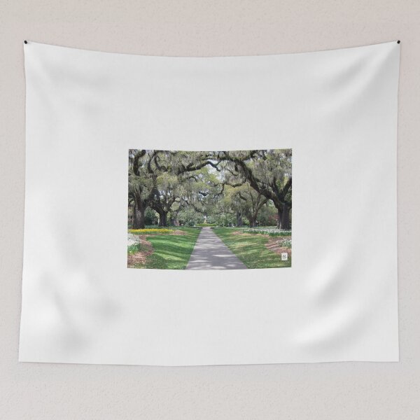 Item preview, Daffodils and Oaks designed and sold by MADowdPhotos.