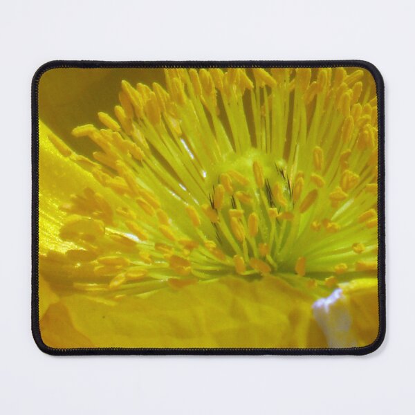 Item preview, Yellow Flower Magnified designed and sold by MADowdPhotos.