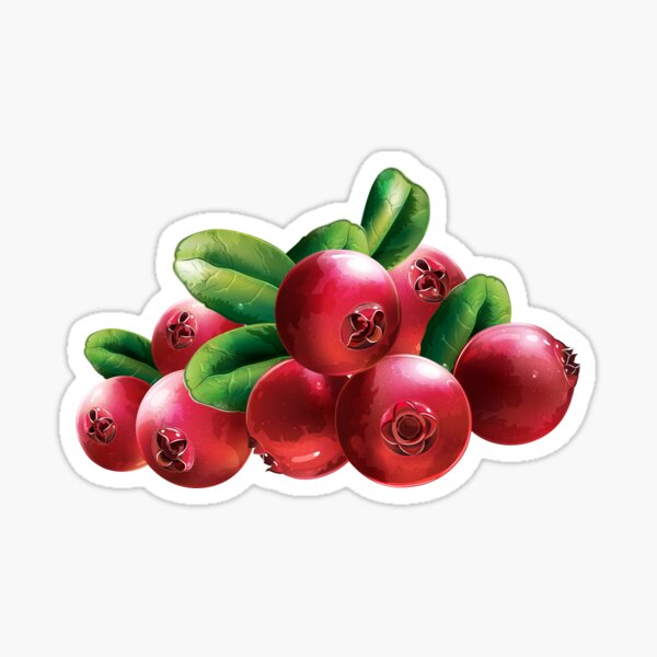 "cranberries sticker" Sticker by fulbag588 Redbubble