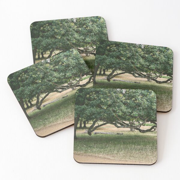 Item preview, Eerie Tree in Richmond Park designed and sold by SarahEL17.