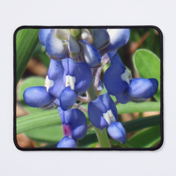 Item preview, Grape Hyacinth Macro designed and sold by MADowdPhotos.