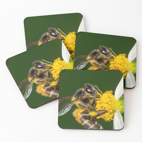Item preview, Unique and organic photo of a pollinated bee on a flower designed and sold by AvonPerception.