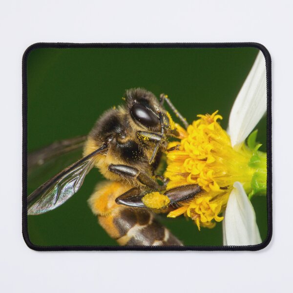 Item preview, Unique and organic photo of a pollinated bee on a flower designed and sold by AvonPerception.
