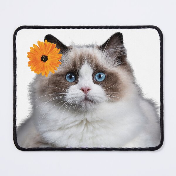 Item preview, Adorable princess cat purring in style designed and sold by EMIPRINCESS.