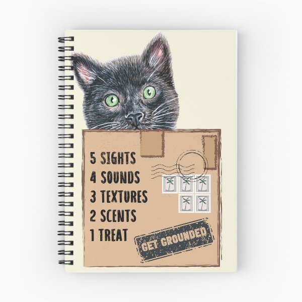 Item preview, Cat in a Box Collection. Wise Cat reminder: when feelings are overwhelming, get grounded, 54321 technique prompt designed and sold by Wise-Cats.