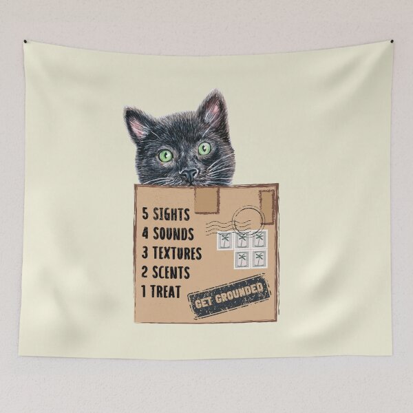 Item preview, Cat in a Box Collection. Wise Cat reminder: when feelings are overwhelming, get grounded, 54321 technique prompt designed and sold by Wise-Cats.