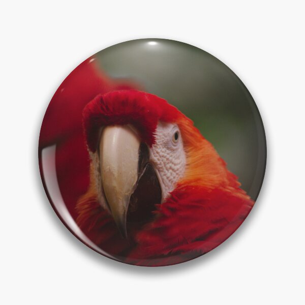 Item preview, Red Wing Macaws designed and sold by froggybangbang.