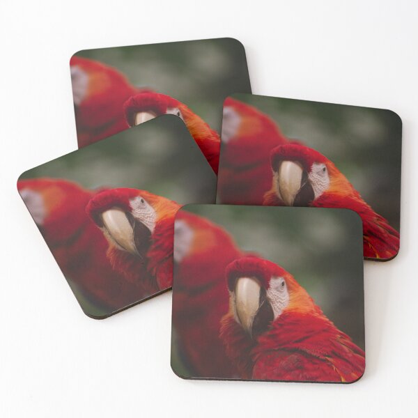 Item preview, Red Wing Macaws designed and sold by froggybangbang.