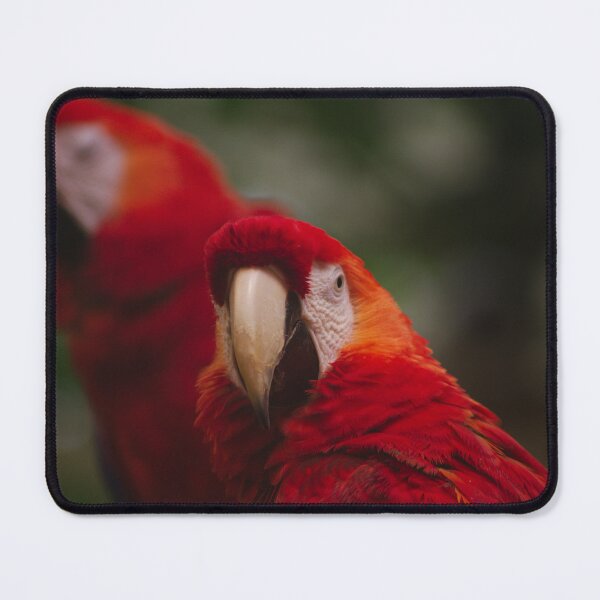 Item preview, Red Wing Macaws designed and sold by froggybangbang.