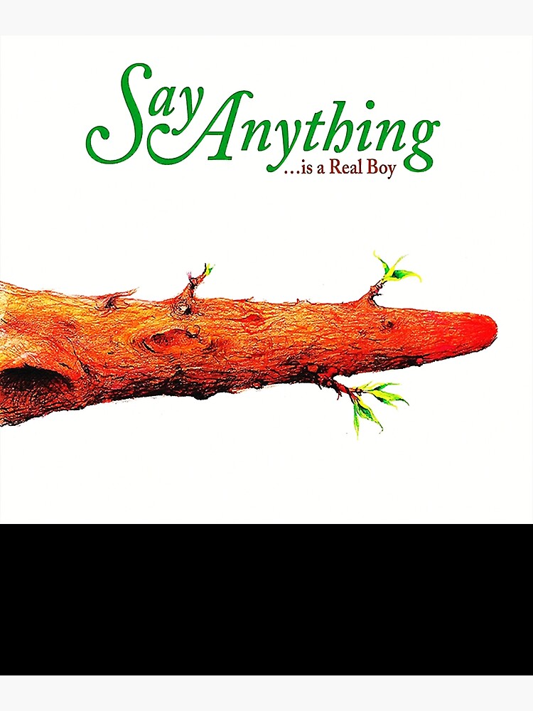 Say Anything Band - Cover Album Classic Poster