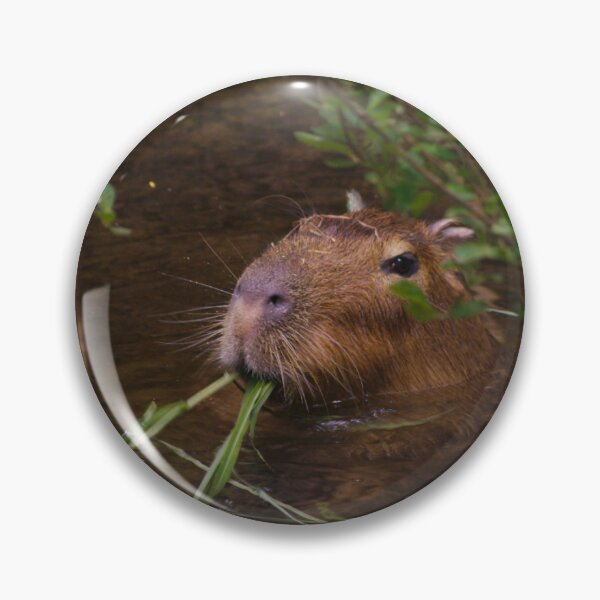 Item preview, Capybara Lunch designed and sold by froggybangbang.