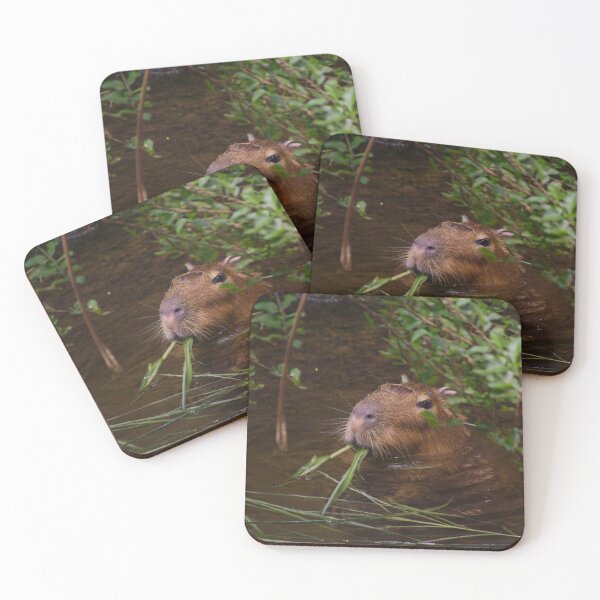 Item preview, Capybara Lunch designed and sold by froggybangbang.