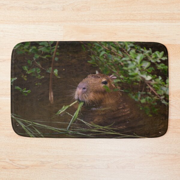Item preview, Capybara Lunch designed and sold by froggybangbang.
