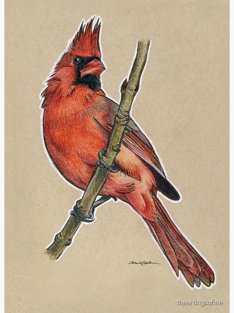 Winter Warriors Cardinal colored buy pencil print