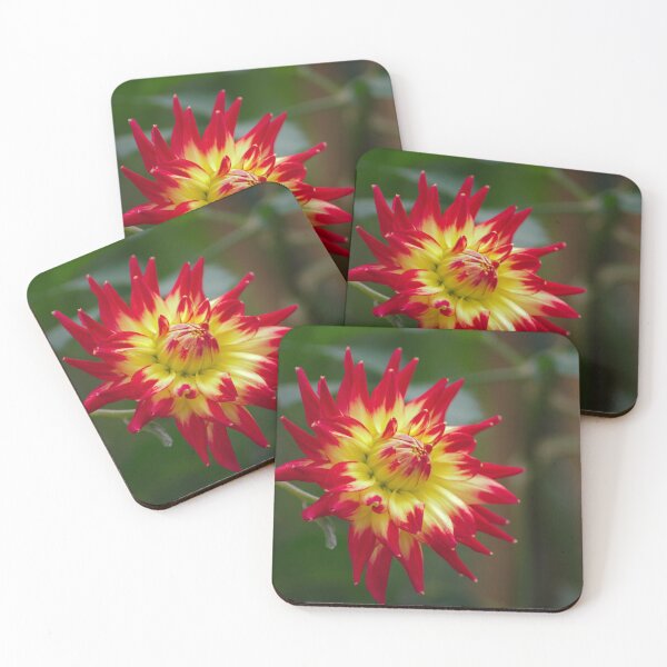 Item preview, Fire Flower designed and sold by froggybangbang.