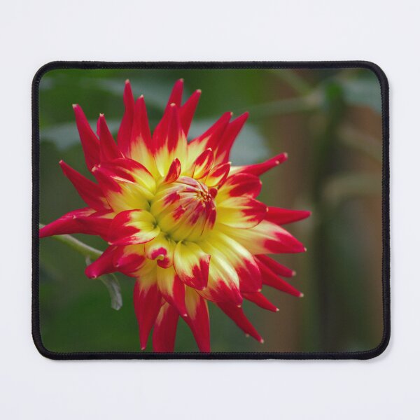 Item preview, Fire Flower designed and sold by froggybangbang.