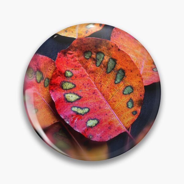 Artikelvorschau, Leaves of color entworfen und verkauft von flintart.