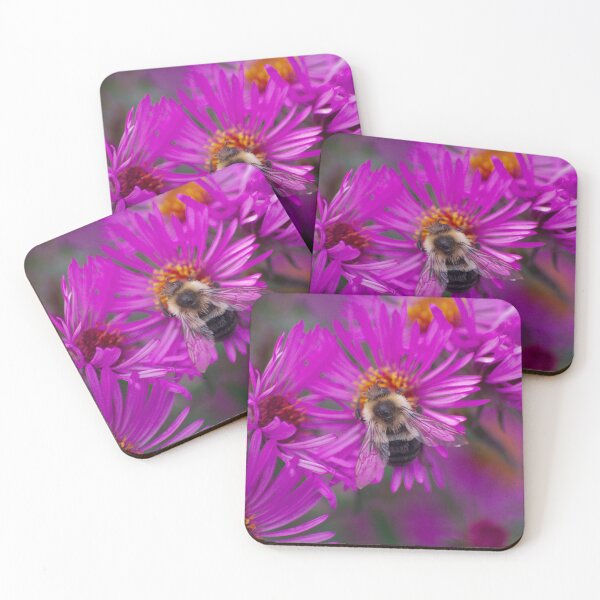 Item preview, Bumblebee on a Purple Daisy designed and sold by froggybangbang.