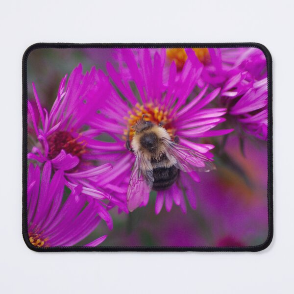 Item preview, Bumblebee on a Purple Daisy designed and sold by froggybangbang.