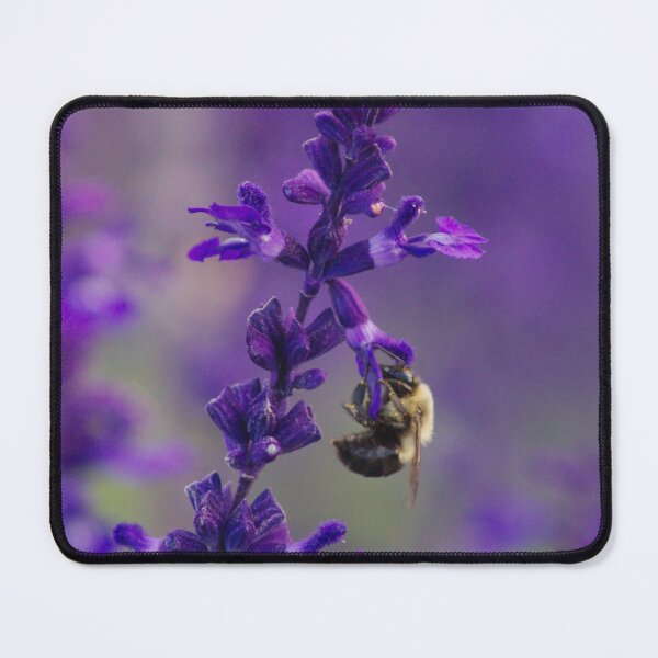 Item preview, Bee on a Jasmin designed and sold by froggybangbang.