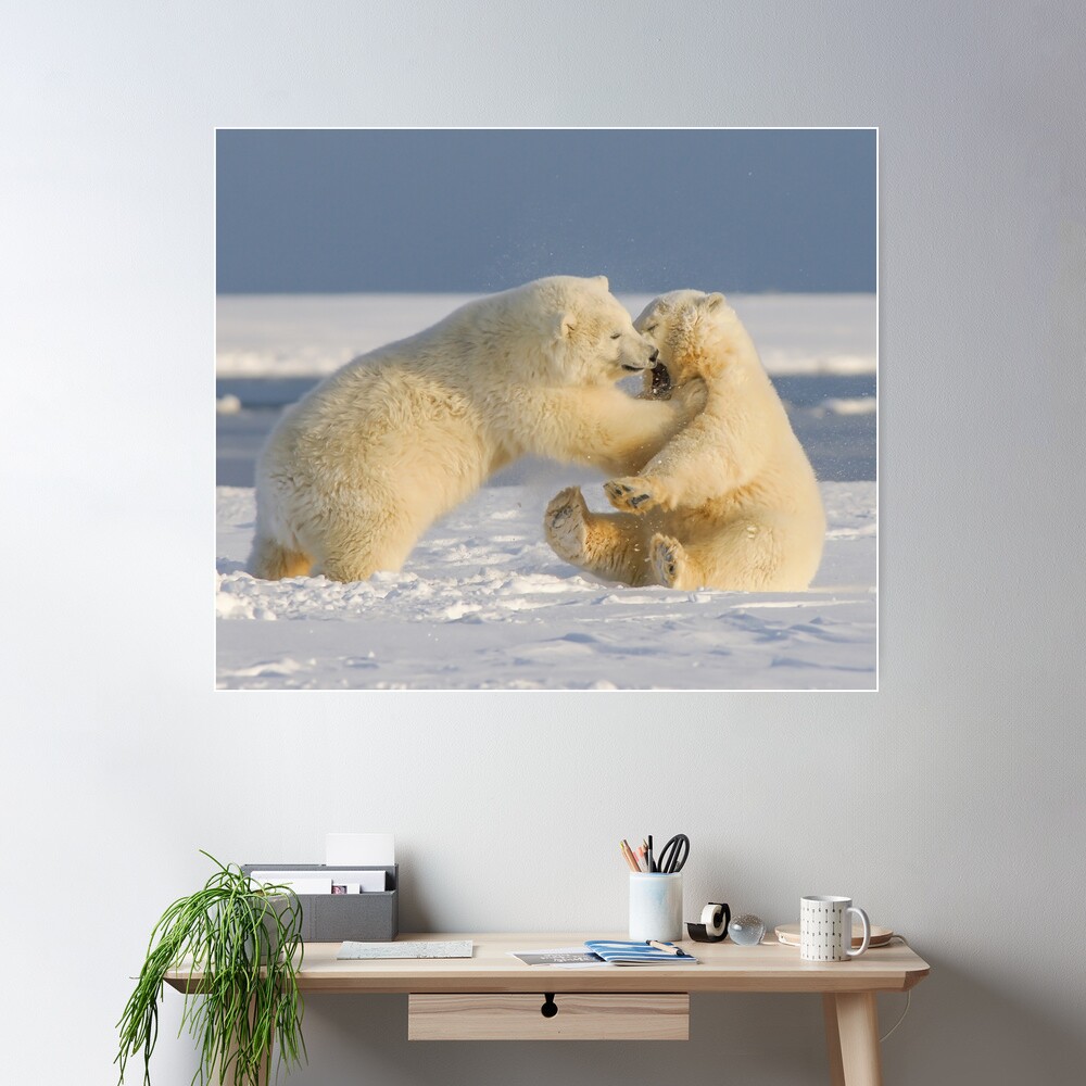 BABY BEAR KISSES,- Mama Bear and Baby Bear - Cute Baby Bear Cub Photos -  Bear Wall Art - Bear Lover Gifts - Bear Wall Art - Nursery Wall Art