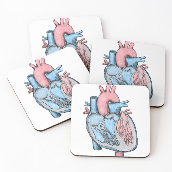 Item preview, Anatomical Heart Sketch designed and sold by princesssomo21.