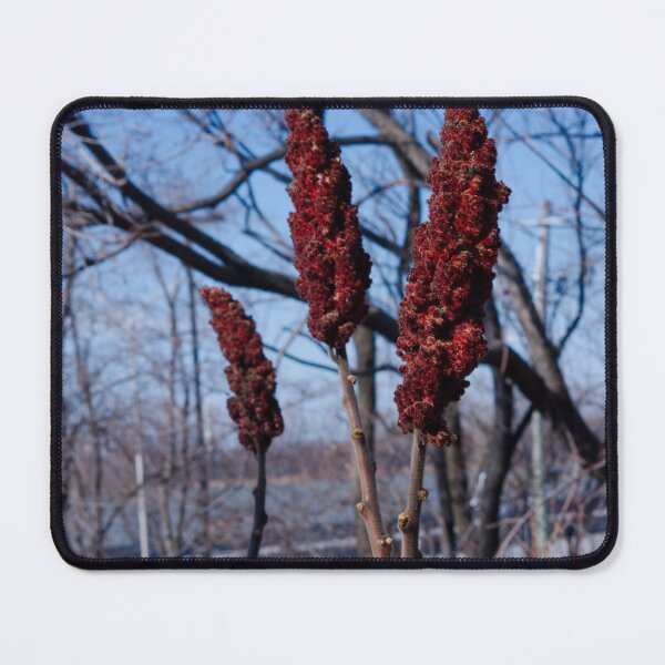 Item preview, Red Reeds designed and sold by froggybangbang.