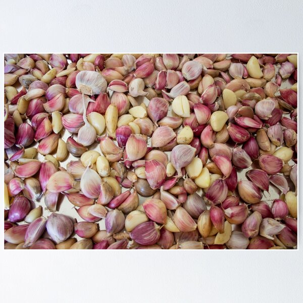 Item preview, Garlic - You can smell it on me! designed and sold by Jaci  Hicken.