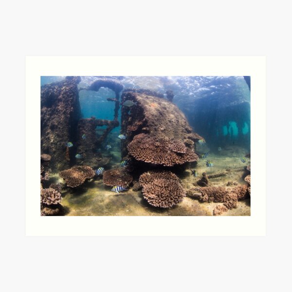 Tangalooma Wrecks 1 Art Print