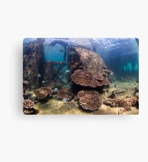 Tangalooma Wrecks 1 Canvas Print