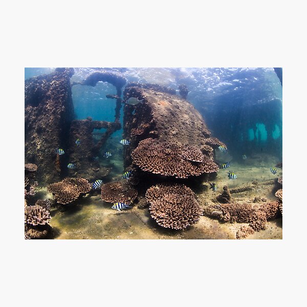 Tangalooma Wrecks 1 Photographic Print