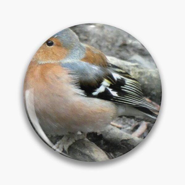Item preview, chaffinch designed and sold by KathleenDawson.