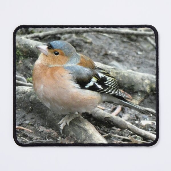 Item preview, chaffinch designed and sold by KathleenDawson.