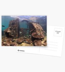 Tangalooma Wrecks 2 Postcards