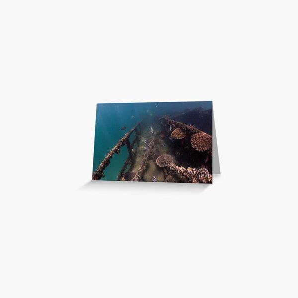 Tangalooma Wrecks - 3 Greeting Card