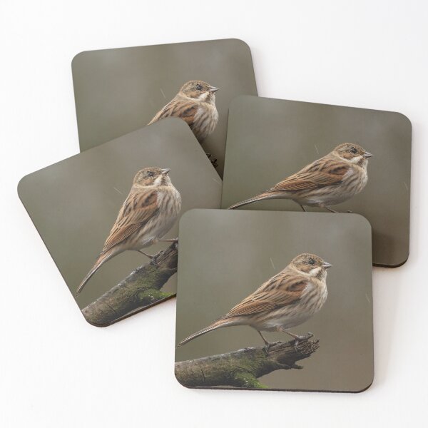 Item preview, Reed bunting in the rain designed and sold by JLP ARTWORKS.