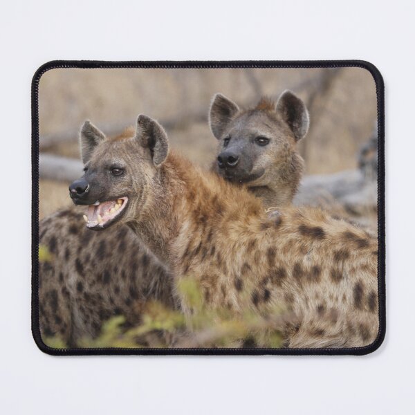 Item preview, pareja de hienas designed and sold by vonJohnstonArt.