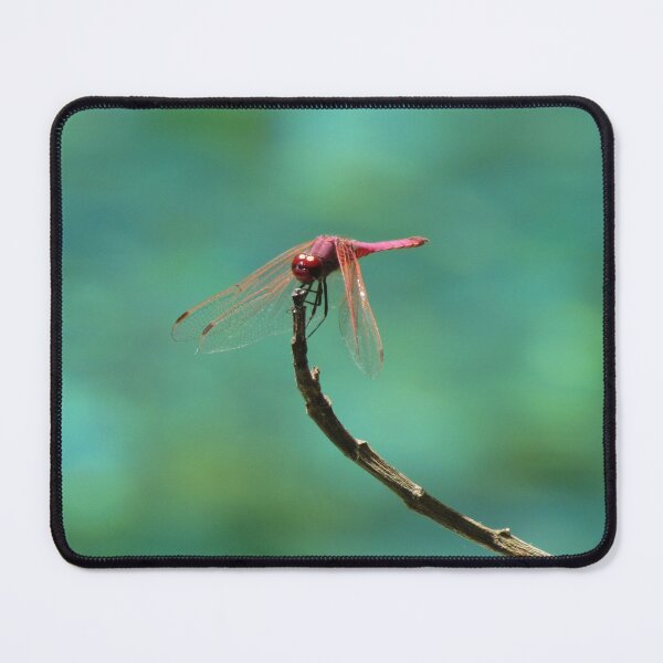 Item preview, Dragonfly designed and sold by vonJohnstonArt.