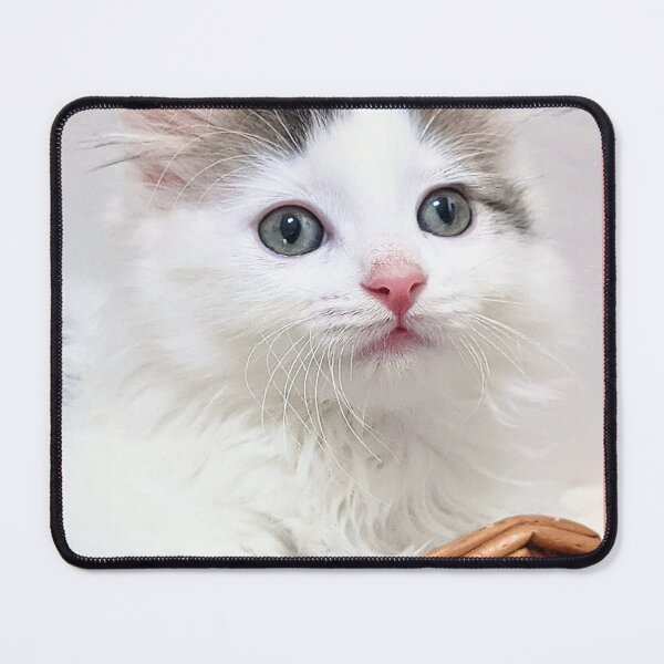 Item preview, Cute kitten designed and sold by Fluffycat2020.