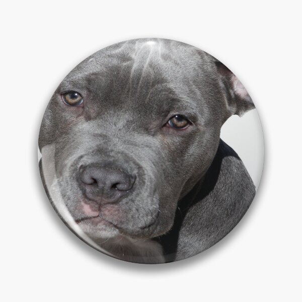 Item preview, ABSOLUT PITBULL designed and sold by ariszz.