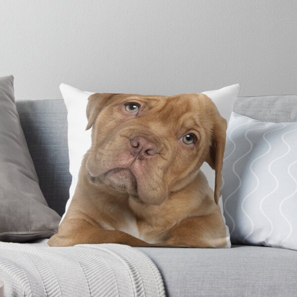 Item preview, pitbull is a winner ! designed and sold by ariszz.
