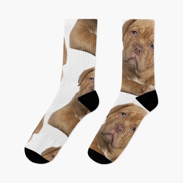 Item preview, pitbull is a winner ! designed and sold by ariszz.