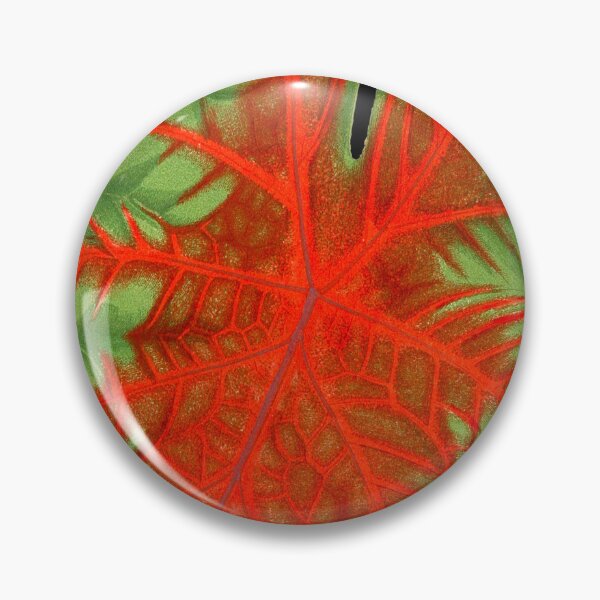 Item preview, Caladium Postman Joyner - botanical illustration designed and sold by chimakingthings.
