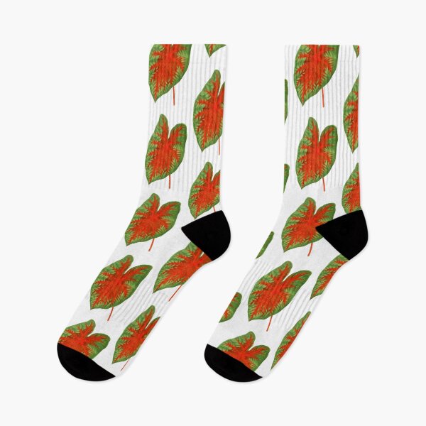 Item preview, Caladium Postman Joyner - botanical illustration designed and sold by chimakingthings.